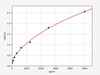 Mouse AMT/Aminomethyltransferase ELISA Kit (MOFI00636)