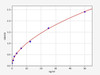 Mouse Anti-Type II Collagen Antibody ELISA Kit (MOFI00640)