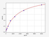 Mouse BMP6 ELISA Kit (MOFI00672)