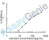 Human C-C motif chemokine 20 (CCL20) ELISA Kit (HUEB0133)