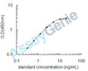 Human High mobility group protein B2 (HMGB2) ELISA Kit (HUEB1579)