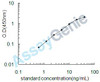 Mouse Kallikrein-8 (Klk8) ELISA Kit (MOEB0538)