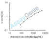 Mouse Transcription factor Maf (Maf) ELISA Kit (MOEB0980)