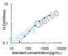 Rat Vascular endothelial growth factor A (Vegfa) ELISA Kit (RTEB0111)