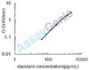 Rat Nuclear receptor corepressor 1 (Ncor1) ELISA Kit (RTEB0233)