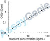 Rat Apoptosis regulator Bcl-2 (Bcl2) ELISA Kit (RTEB0450)