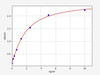 Human CCN5 (CCN family member 5) ELISA Kit (HUFI03415)