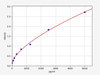 Human EXTL3 (Exostosin-like 3) ELISA Kit (HUFI04361)