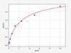 Human C5AR1 (C5a anaphylatoxin chemotactic receptor 1) ELISA Kit (HUFI04589)