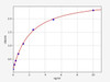 Human HIST1H2BB (Histone H2B type 1-B) ELISA Kit (HUFI04761)