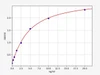 Human AKT2 (RAC-beta serine/threonine-protein kinase) ELISA Kit (HUFI04801)