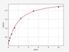 Human USP33 (Ubiquitin carboxyl-terminal hydrolase 33) ELISA Kit (HUFI05758)