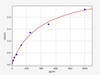 Human NSFL1C (NSFL1 cofactor p47) ELISA Kit (HUFI07476)