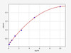 Human BNIP3L (BCL2/adenovirus E1B 19 kDa protein-interacting protein 3-like) ELISA Kit (HUFI07988)