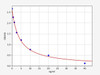 Rat ENK (enkephalin) ELISA Kit (RTFI01464)