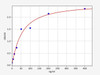 Turkey ALB (Albumin) ELISA Kit (TUFI0002)