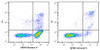 Annexin V-AF647/PI Apoptosis Kit (AKES034)