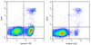 Annexin V-PE/DAPI Apoptosis Kit (AKES056)