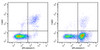 7-AAD Viability Staining Solution (100μg/mL) (AKES030)