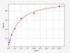 Human MBP Autoantibodies ELISA Kit (AEFI00334)