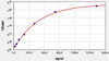 COVID-19 Spike Protein (RBD) ELISA Kit (AEFI01024)