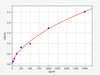 Mouse Bckdhb (2-oxoisovalerate dehydrogenase subunit beta, mitochondrial) ELISA Kit (AEFI00591)