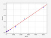 Mouse Ca12 (Carbonic anhydrase 12) ELISA Kit (AEFI00753)