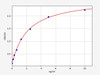 Mouse Ifngr1 (Interferon gamma receptor 1) ELISA Kit (AEFI00570)