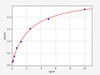 Mouse Ripk1 (Receptor-interacting serine/threonine-protein kinase 1) ELISA Kit (AEFI00609)