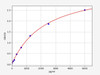 Mouse Wnt10b (Protein Wnt-10b) ELISA Kit (AEFI00578)