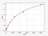 Rat Cabin1 (Calcineurin-binding protein cabin-1) ELISA Kit (AEFI00861)
