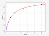 Rat Casp11 (Caspase 11) ELISA Kit (AEFI00930)
