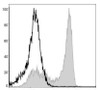 PerCP Anti-Mouse Ly6G Antibody [1A8] (AGEL0394)