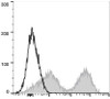PE/Cyanine7 Anti-Mouse MHC II (I-A/I-E) Antibody [M5/114] (AGEL0495)