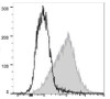PE/Cyanine7 Anti-Mouse CD54 Antibody [YN1/1.7.4] (AGEL0715)