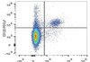 PE/Cyanine7 Anti-Mouse CD122 Antibody [5H4] (AGEL0795)