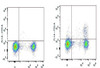 GenieFluor 488 Anti-Mouse CD25 Antibody [PC-61.5.3] (AGEL1312)