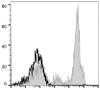 GenieFluor 647 Anti-Human CD11c Antibody [BU15] (AGEL1464)