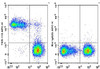 APC Anti-Mouse TER-119 Antibody [TER-119] (AGEL1578)