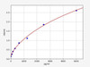 Human DTNBP1/Dysbindin ELISA Kit (HUFI01395)