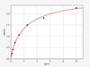 Human CNTN1/Contactin 1 ELISA Kit (HUFI01425)