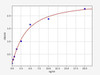 Human DDOST ELISA Kit (HUFI01761)