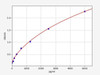Human KIBRA/WWC1 ELISA Kit (HUFI01910)