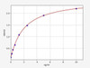Human CENPF/Centromere protein F ELISA Kit (HUFI02310)