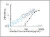 Rat Amine oxidase [flavin-containing] B (Maob) ELISA Kit (RTEB1696)