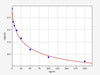 Human 25 Hydroxy Vitamin D (25 Hydroxy Vitamin D) ELISA Kit (AEFI01115)