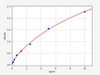 Rat CMA1 (Chymase) ELISA Kit (AEFI01178)
