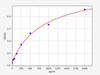 Mouse Rac1 (Ras-related C3 botulinum toxin substrate 1) ELISA Kit (AEFI01335)
