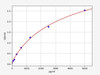 Rat Prm2 (Protamine-2) ELISA Kit (AEFI01504)