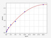 Rat PDGFRb ColorStep ELISA Kit (AEFI02071)